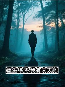 综武之内天地综武之内天地